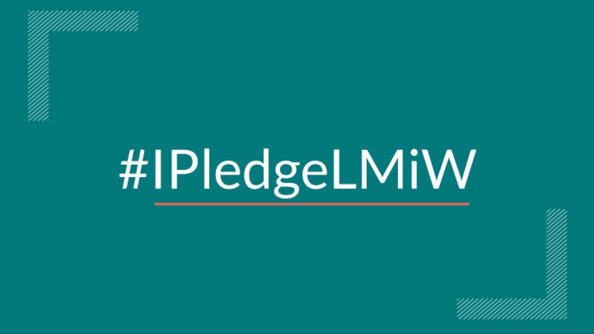 Lets Make it Work Pledge
